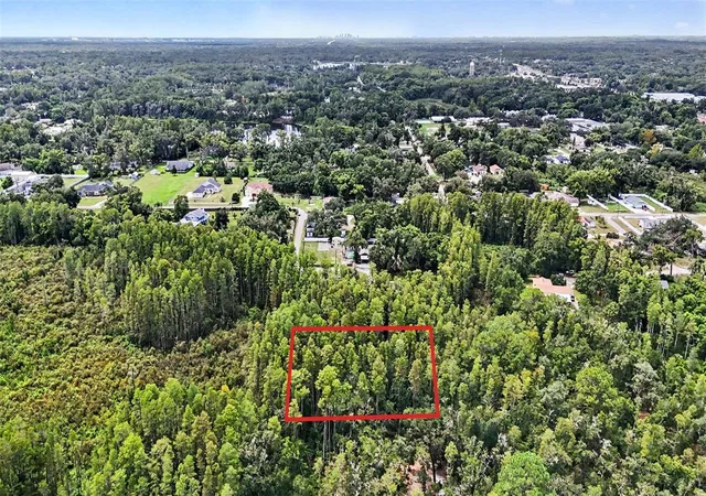 Photo 4 of Land for sale at 0 2Nd Ave Ne, Lutz, FL 33549 | MLS# TB8542608 | Listing updated on 2026-10-09