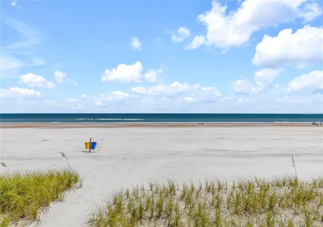 49th image of 4435 S Atlantic Ave #114, Ponce Inlet, FL 32127 | MLS# NS1089105