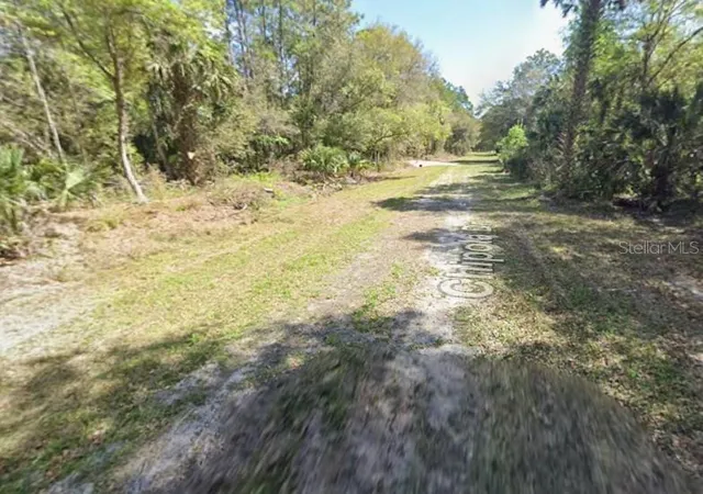 Photo 5 of Land for sale at 108 Chipola Dr, Georgetown, FL 32139 | MLS# TB8542755 | Listing updated on 2026-08-27