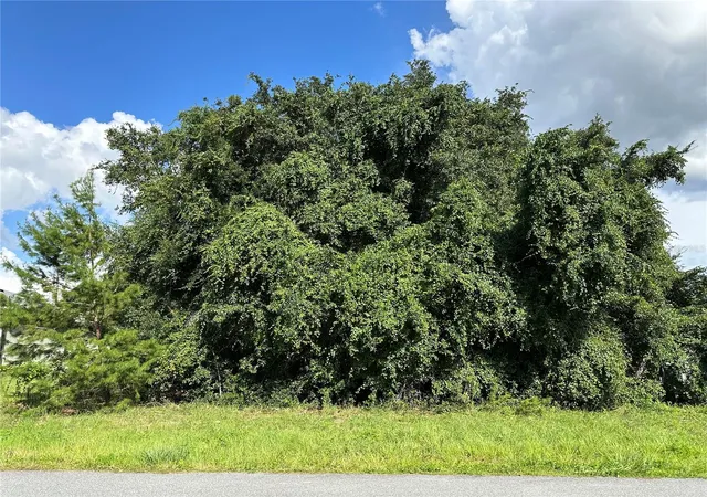 Photo 2 of Land for sale at 000 Southwest 128th Pl, Ocala, FL 34473 | MLS# OM731136 | Listing updated on 2026-09-01