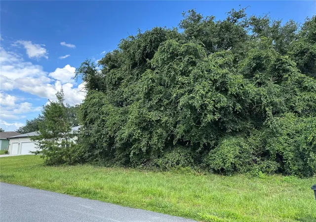 Photo 3 of Land for sale at 000 Southwest 128th Pl, Ocala, FL 34473 | MLS# OM731136 | Listing updated on 2026-09-01