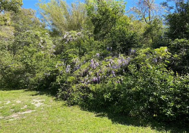 Photo 3 of Single family home for sale at 555 NW 23rd Street, Gainesville, FL 32607 | MLS# TB8542819 | Listing updated on 2026-09-27