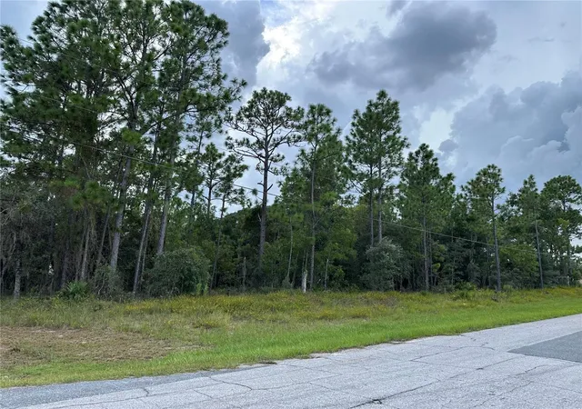 Photo 4 of Land for sale at 5212 N Peppermint Dr, Beverly Hills, FL 34465 | MLS# OM731142 | Listing updated on 2026-09-10