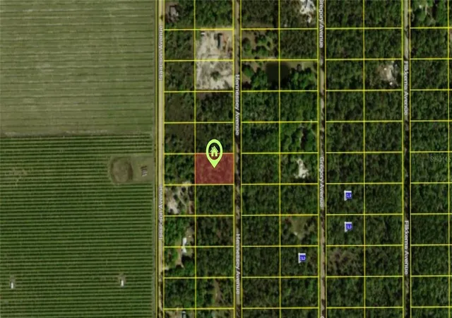 Photo 2 of Land for sale at 10515 Hennessey Ave, Hastings, FL 32145 | MLS# O6436890 | Listing updated on 2026-08-28