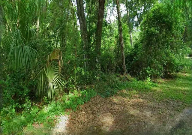 Photo 1 of Land for sale at 4226 N Forest Lake Dr, Hernando, FL 34442 | MLS# O6436914 | Listing updated on 2026-09-22