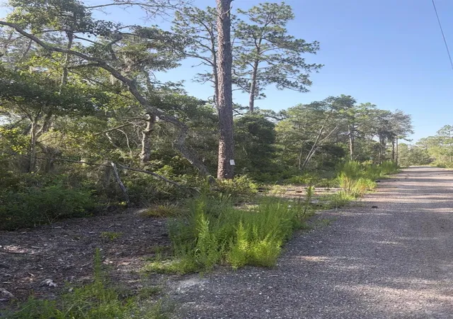 Photo 2 of Land for sale at 0 Shyla Rd, Brooksville, FL 34604 | MLS# TB8542926 | Listing updated on 2026-09-01