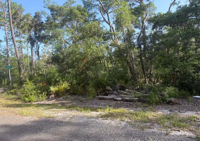 Photo 4 of Land for sale at 0 Shyla Rd, Brooksville, FL 34604 | MLS# TB8542926 | Listing updated on 2026-09-01