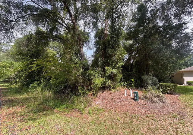 Land for sale at Sw 98Th Loop, DUNNELLON, FL 34432 | MLS# TB8542948