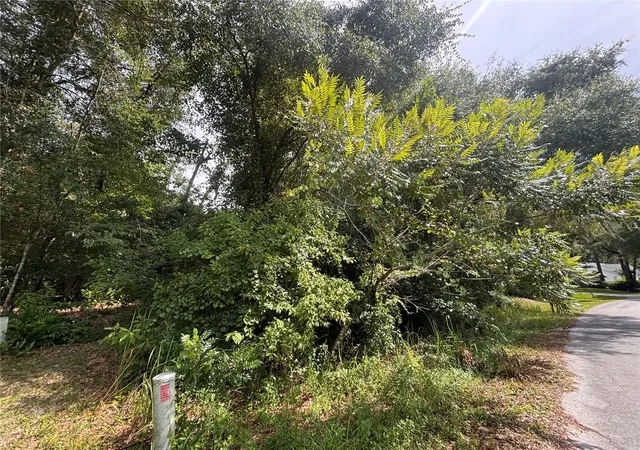 Photo 4 of Land for sale at Sw 98Th Loop, Dunnellon, FL 34432 | MLS# TB8542948 | Listing updated on 2026-08-28
