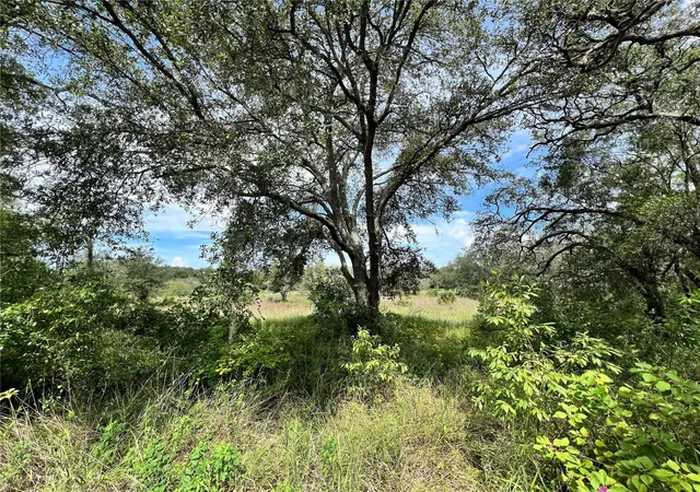 Photo 1 of Land for sale at 13339 Vivian Ln, Hudson, FL 34669 | MLS# TB8543011 | Listing updated on 2026-08-28