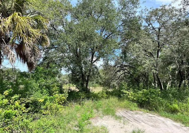 Photo 2 of Land for sale at 13339 Vivian Ln, Hudson, FL 34669 | MLS# TB8543011 | Listing updated on 2026-08-28