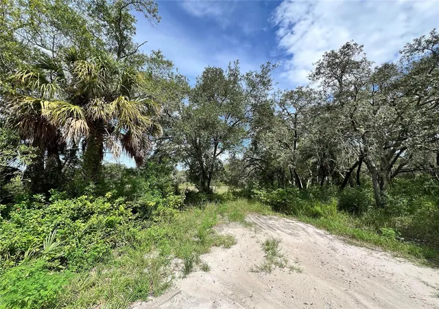 Photo 3 of Land for sale at 13339 Vivian Ln, Hudson, FL 34669 | MLS# TB8543011 | Listing updated on 2026-08-28