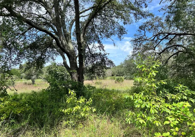 Photo 3 of Land for sale at 13339 Vivian Ln, Hudson, FL 34669 | MLS# TB8543011 | Listing updated on 2026-08-28