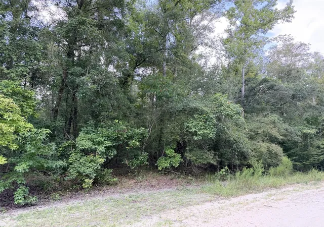 Photo 1 of Land for sale at 0 Ne 756 St, Old Town, FL 32680 | MLS# GC543048 | Listing updated on 2026-08-30