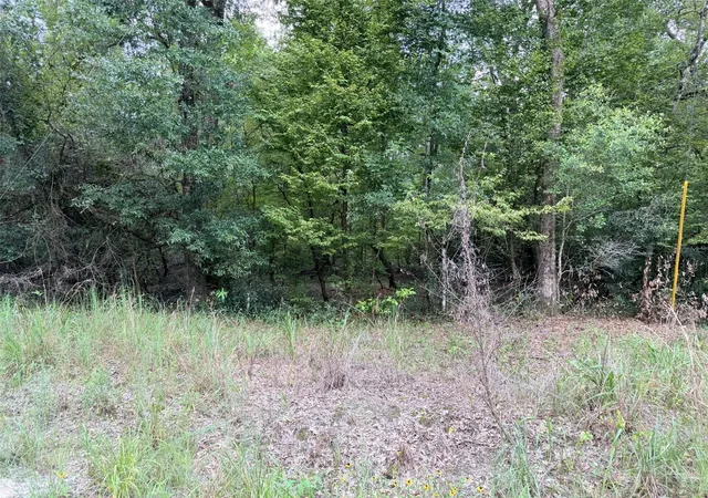 Photo 2 of Land for sale at 0 Ne 756 St, Old Town, FL 32680 | MLS# GC543048 | Listing updated on 2026-08-30