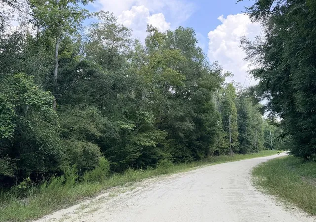 Photo 3 of Land for sale at 0 Ne 756 St, Old Town, FL 32680 | MLS# GC543048 | Listing updated on 2026-08-30