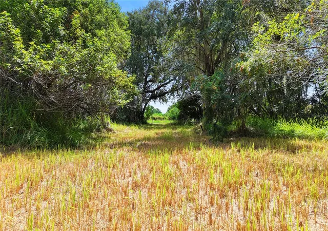 Photo 3 of Land for sale at 3120 Cherokee Rds, St Cloud, FL 34772 | MLS# O6437051 | Listing updated on 2026-08-28