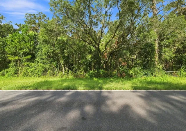 Photo 4 of Land for sale at Emerson Rd, Brooksville, FL 34601 | MLS# W7888979 | Listing updated on 2026-09-02