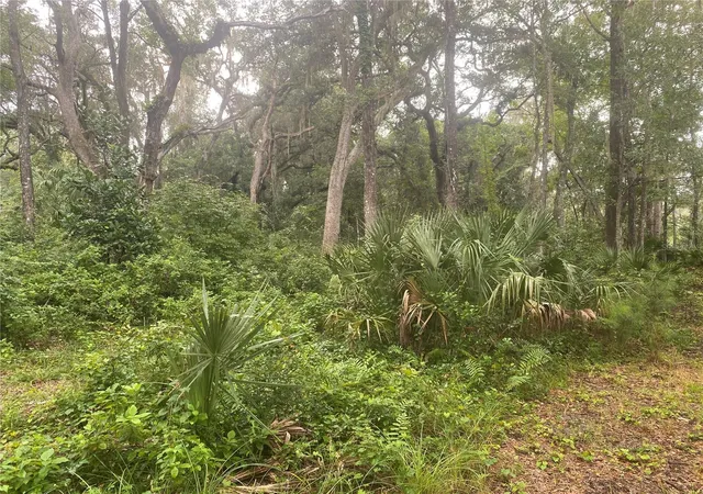 Photo 3 of Land for sale at 2851 Se 24th Place, Gainesville, FL 32641 | MLS# GC543062 | Listing updated on 2026-09-04
