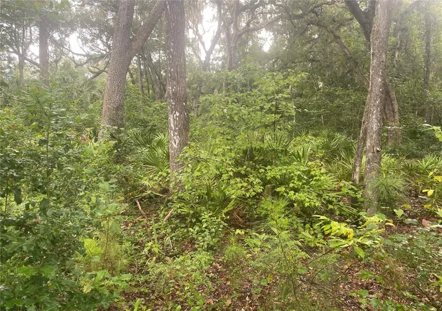 Photo 3 of Land for sale at 2851 SE 24th Place, Gainesville, FL 32641 | MLS# GC543062 | Listing updated on 2026-09-04