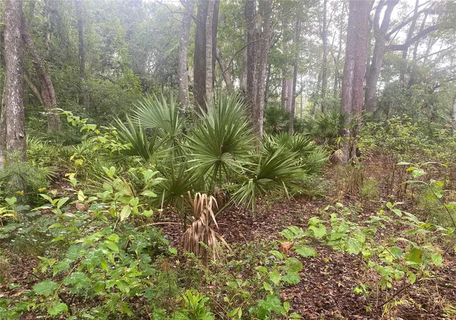 Photo 4 of Land for sale at 2851 SE 24th Place, Gainesville, FL 32641 | MLS# GC543062 | Listing updated on 2026-09-04