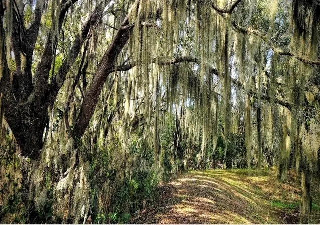 Photo 3 of Land for sale at Lemon Ave, Englewood, FL 34223 | MLS# D6148585 | Listing updated on 2026-09-03