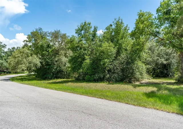 Land for sale at 4695 N Pine Valley Loop, LECANTO, FL 34461 | MLS# OM731241