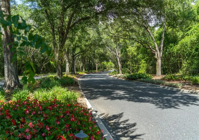 Photo 4 of Land for sale at 4695 N Pine Valley Loop, Lecanto, FL 34461 | MLS# OM731241 | Listing updated on 2026-09-03