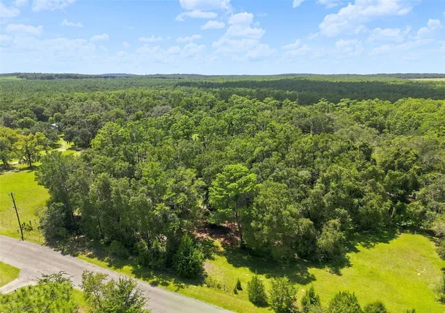 Photo 17 of Land for sale at 25905 Sitting Bull St, Brooksville, FL 34601 | MLS# W7888982 | Listing updated on 2026-09-01