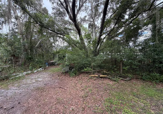 13th image of 19201 Dove Rd, Land O Lakes, FL 34638 | MLS# TB8543209