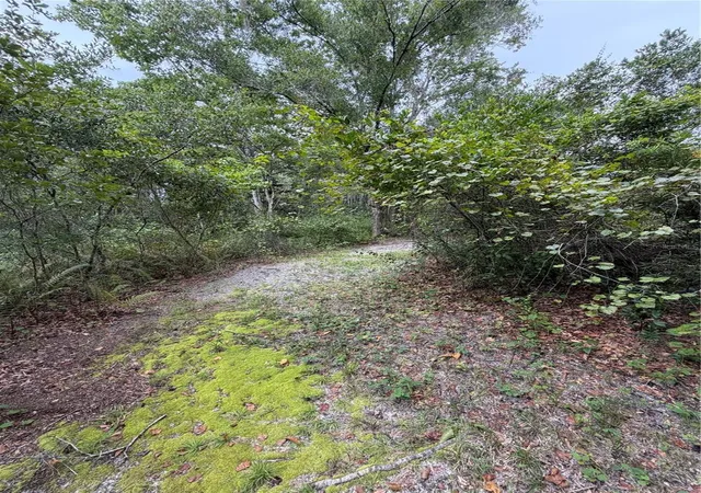 4th image of 19201 Dove Rd, Land O Lakes, FL 34638 | MLS# TB8543209