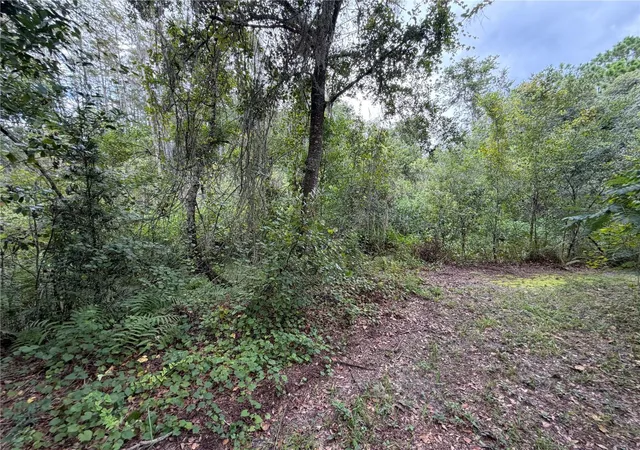 5th image of 19201 Dove Rd, Land O Lakes, FL 34638 | MLS# TB8543209