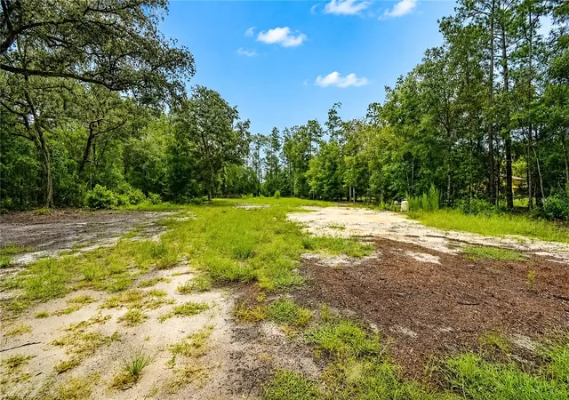 Photo 3 of Land for sale at 261 Ashley Lake Dr, Melrose, FL 32666 | MLS# GC543066 | Listing updated on 2026-10-23