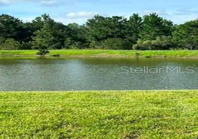 3rd image of 17973 Dairy Farm Ct, Land O Lakes, FL 34638 | MLS# TB8543321