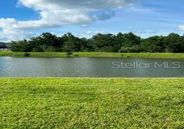 4th image of 17973 Dairy Farm Ct, Land O Lakes, FL 34638 | MLS# TB8543321