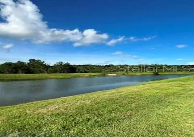 5th image of 17973 Dairy Farm Ct, Land O Lakes, FL 34638 | MLS# TB8543321