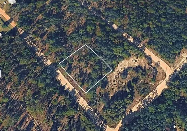 Photo 5 of Land for sale at Sandra Ln, Hawthorne, FL 32640 | MLS# TB8543364 | Listing updated on 2026-08-29