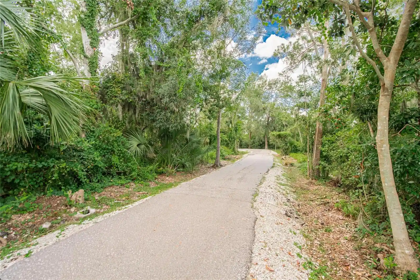 Listing Photo 60 - Condo for sale in 2205 Preservation Dr located at 2205 Preservation Dr, PLANT CITY, FL 33566 - Unit 2205 Preservation Dr