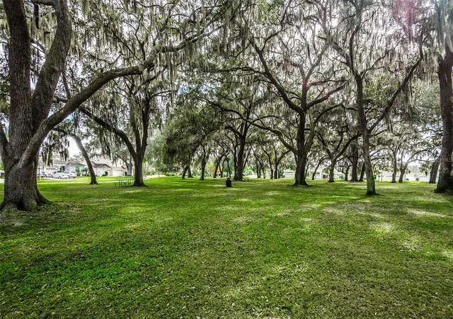99th image of 25427 Seven Rivers Cir, Land O Lakes, FL 34639 | MLS# TB8543381