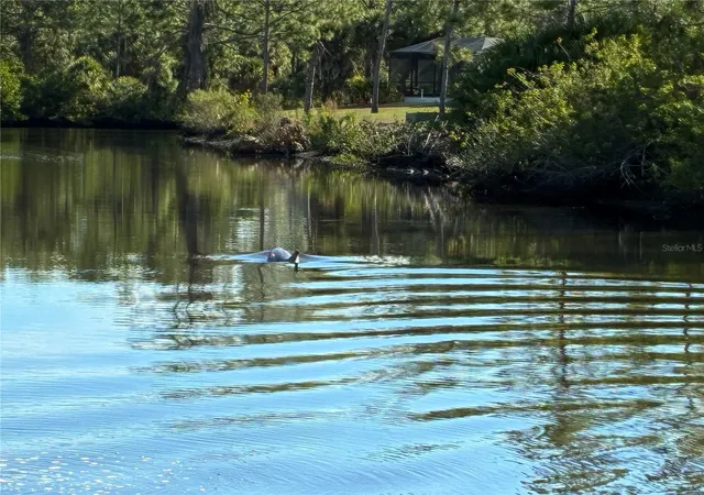 Photo 11 of Land for sale at 13349 Tolman Ave, Port Charlotte, FL 33953 | MLS# D6148597 | Listing updated on 2026-08-29