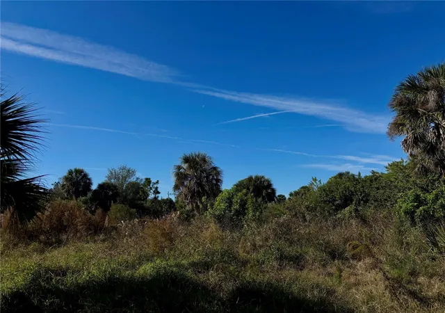 Photo 4 of Land for sale at 13349 Tolman Ave, Port Charlotte, FL 33953 | MLS# D6148597 | Listing updated on 2026-08-29