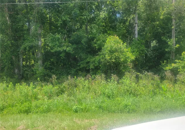 Photo 2 of Land for sale at 2204 Cr 305, Bunnell, FL 32110 | MLS# FC321045 | Listing updated on 2026-08-29
