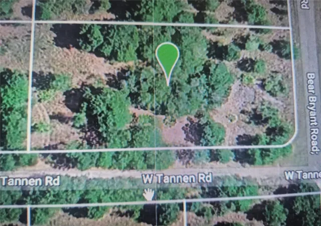 Photo 3 of Land for sale at 3300 W Tannen Rd, Avon Park, FL 33825 | MLS# O6437394 | Listing updated on 2026-10-06