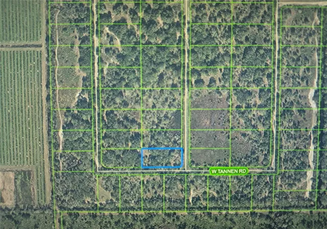 Photo 4 of Land for sale at 3300 W Tannen Rd, Avon Park, FL 33825 | MLS# O6437394 | Listing updated on 2026-10-06