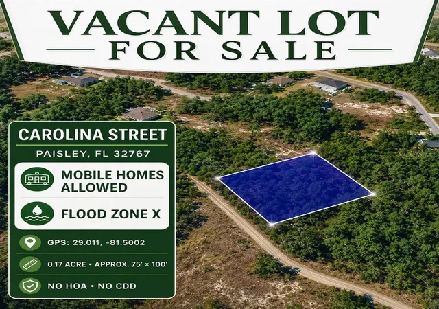 Photo 1 of Land for sale at Carolina St, Paisley, FL 32767 | MLS# TB8543454 | Listing updated on 2026-10-06