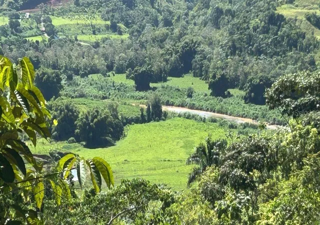 Photo 1 of Land for sale at Carr 424 Bo Guacio, San Sebastian, PR 00685 | MLS# PR9123762 | Listing updated on 2026-08-31