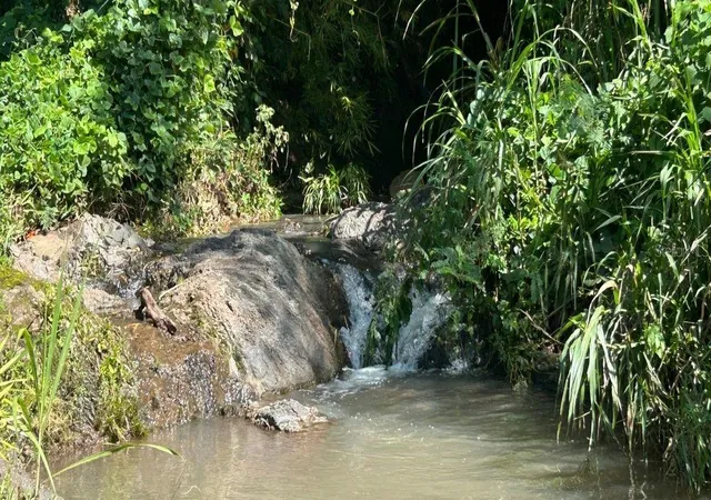 Photo 2 of Land for sale at Carr 424 Bo Guacio, San Sebastian, PR 00685 | MLS# PR9123762 | Listing updated on 2026-08-31