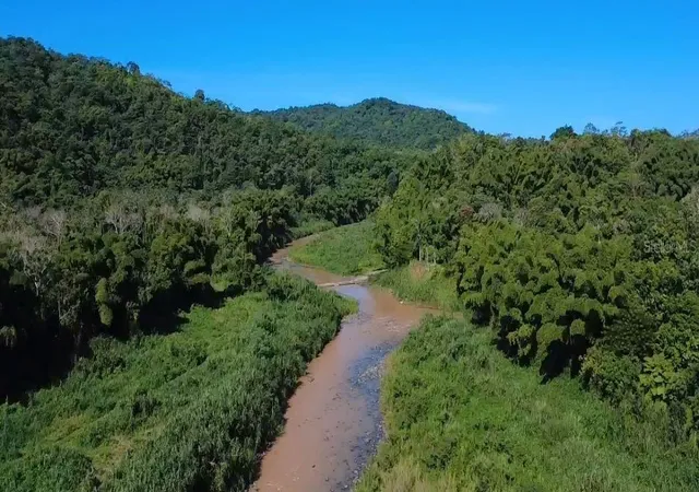 Photo 3 of Land for sale at Carr 424 Bo Guacio, San Sebastian, PR 00685 | MLS# PR9123762 | Listing updated on 2026-08-31