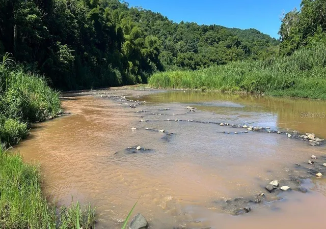 Photo 4 of Land for sale at Carr 424 Bo Guacio, San Sebastian, PR 00685 | MLS# PR9123762 | Listing updated on 2026-08-31
