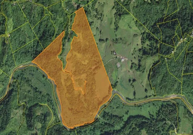Photo 9 of Land for sale at Carr 424 Bo Guacio, San Sebastian, PR 00685 | MLS# PR9123762 | Listing updated on 2026-08-31